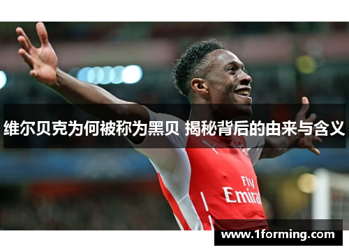 维尔贝克为何被称为黑贝 揭秘背后的由来与含义